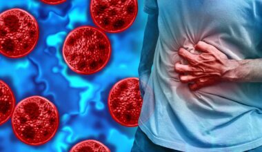 What Cyclospora does inside the gut and how it gets there