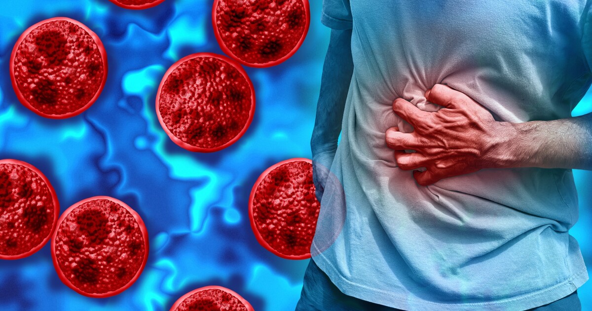 What Cyclospora does inside the gut and how it gets there