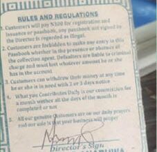 Adashe, the daily, monthly contributions changing lives – Daily Trust