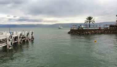Boy dies after contracting ‘brain-eating’ amoeba in Sea of Galilee
