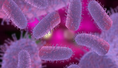 A computer rendering of rabies virus particles.