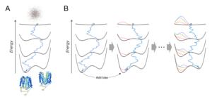 Breaking through AlphaFold’s limits to predict how proteins change shape