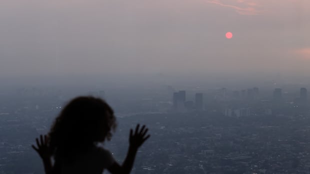 Climate change past the point of no return, UN says, as worst impacts are now unavoidable