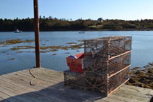 Looking back to forecast the future of lobster