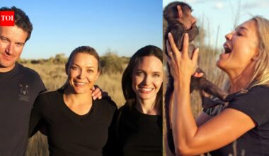 Angelina Jolie-backed wildlife sanctuary is fighting to save 217 animals in Namibia; lions, leopards and African wild dogs are at the centre﻿ | World News