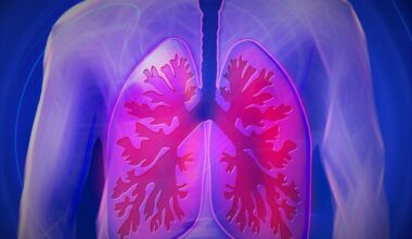 upper body, lung, copd, disease, doctor, finding, medicine, health check, health, examination, heal, pension, ill, investigate, therapy, ultrasound, healthy, lung, lung, lung, lung, lung, copd, copd