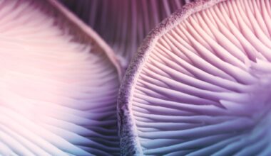Study: Lifetime classic psychedelics use is associated with positive environmental attitudes and adopting a vegetarian diet. Image Credit: New Africa / Shutterstock