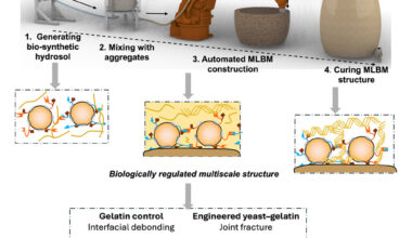 Conceptual and laboratory fabrication of MLBM. Image via HKUST.