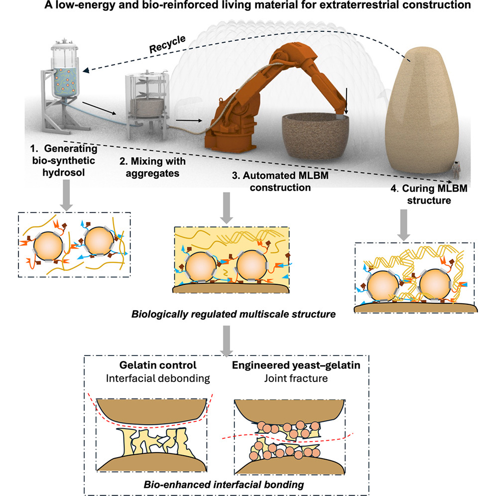 Conceptual and laboratory fabrication of MLBM. Image via HKUST.