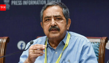 'Govt can't subsidise everything': Niti Aayog VC's 'bees and honey' take on UPI charges | India News