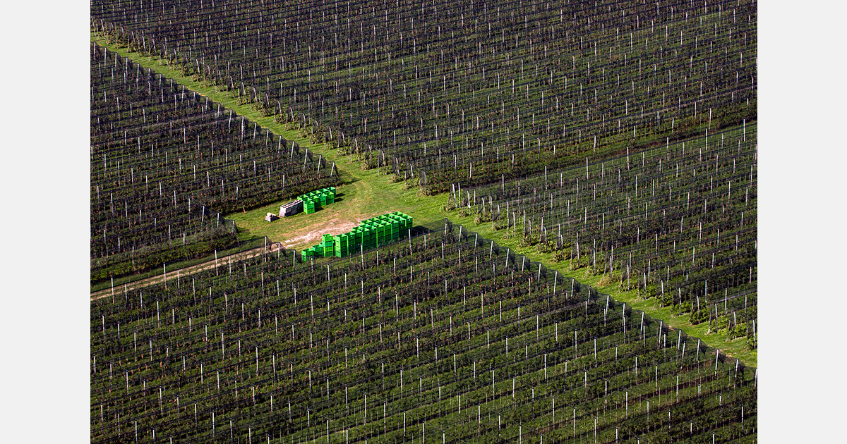 Record diesel prices increase U.S. harvest costs