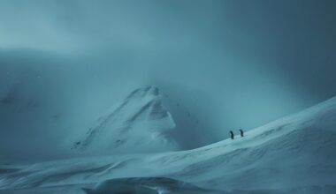 Ice Antarctica Snow Capped Mountains Penguins