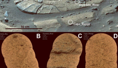 The concentric feature in the East Margin of the Margin unit, Jezero crater, Mars. Image credit: Bedford et al., doi: 10.1038/s43247-026-03997-9.
