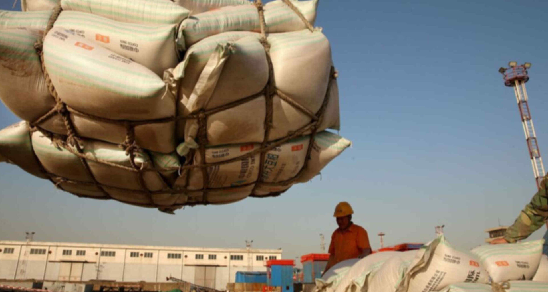 China flaunts purchasing power with soybean buys ahead of US midterms
