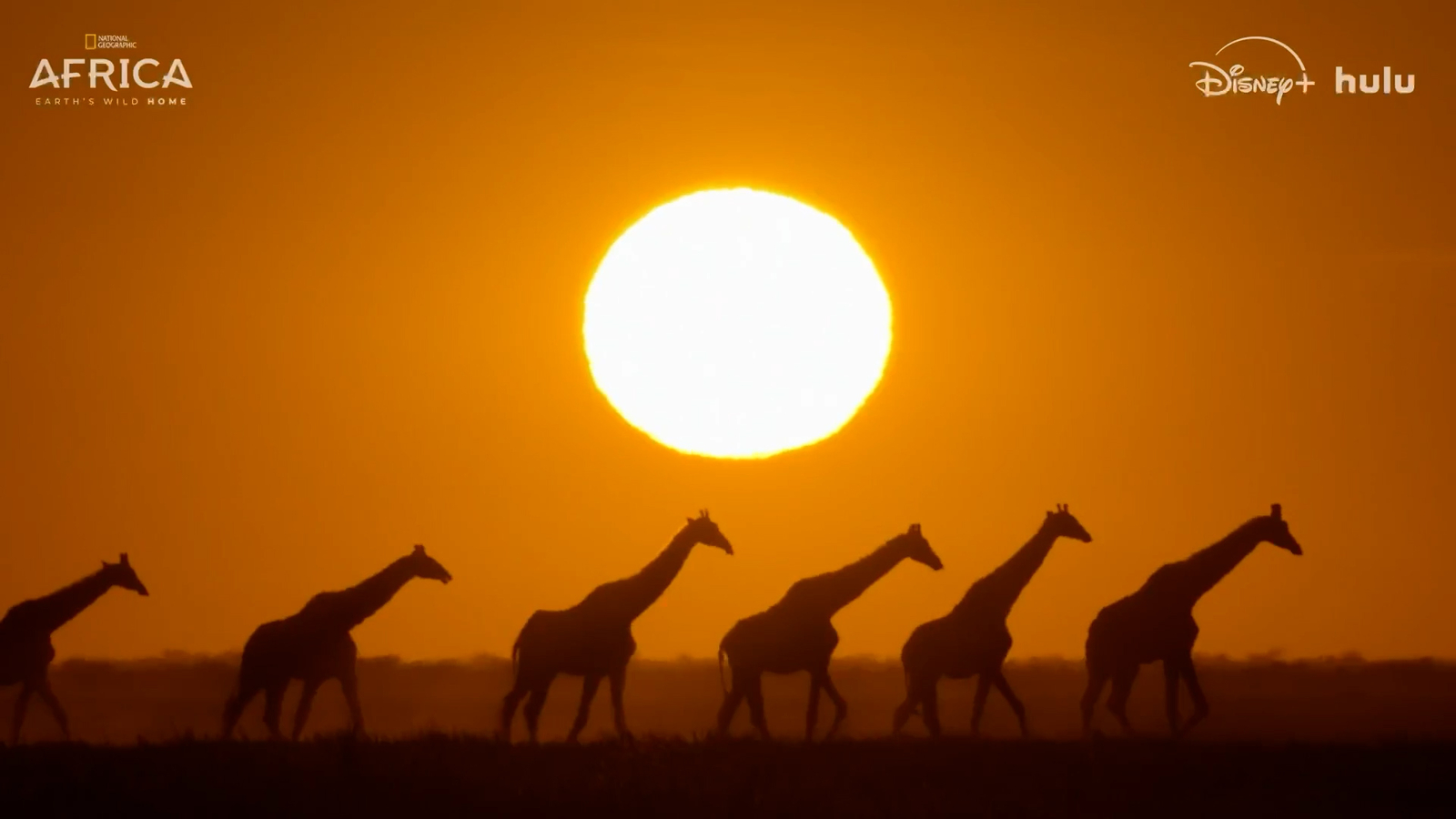 Oscar nominee Wunmi Mosaku narrates National Geographic's new series on Africa