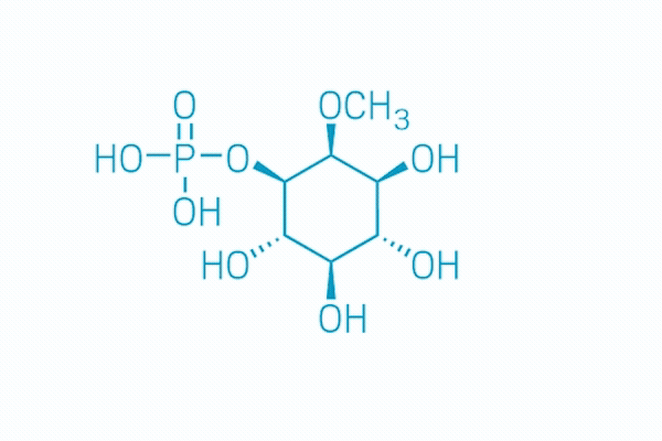 Phosphate steps into new role as autonomous molecular machine