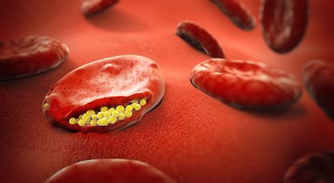 shutterstock_1087270583