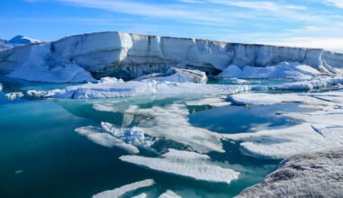 Canada's Last Epishelf Lake Drains, Arctic Ecosystem Lost