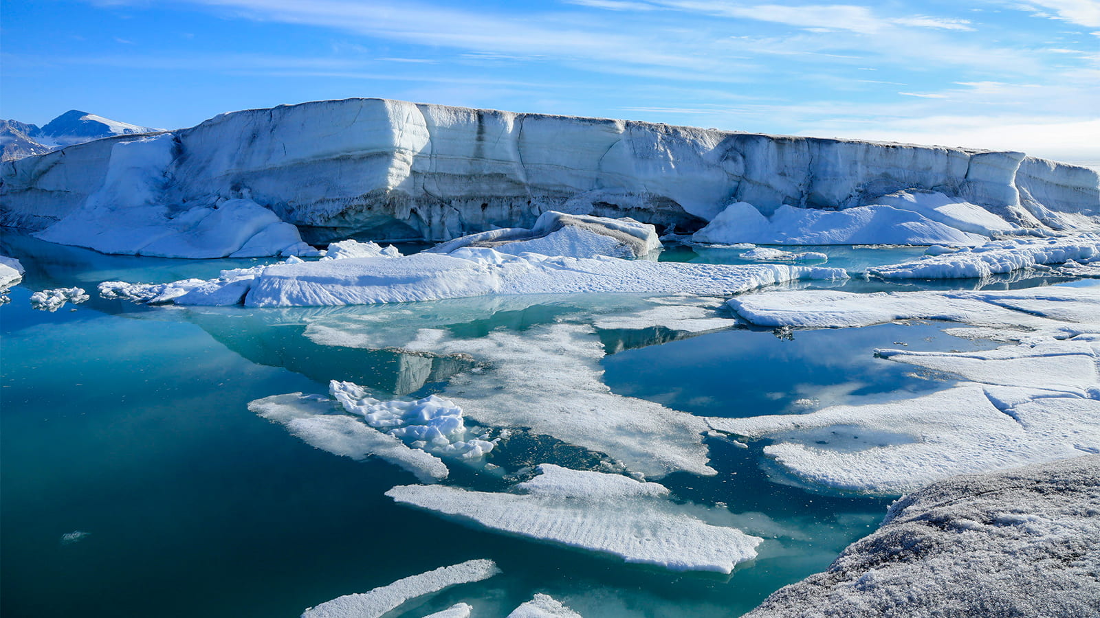 Canada's Last Epishelf Lake Drains, Arctic Ecosystem Lost