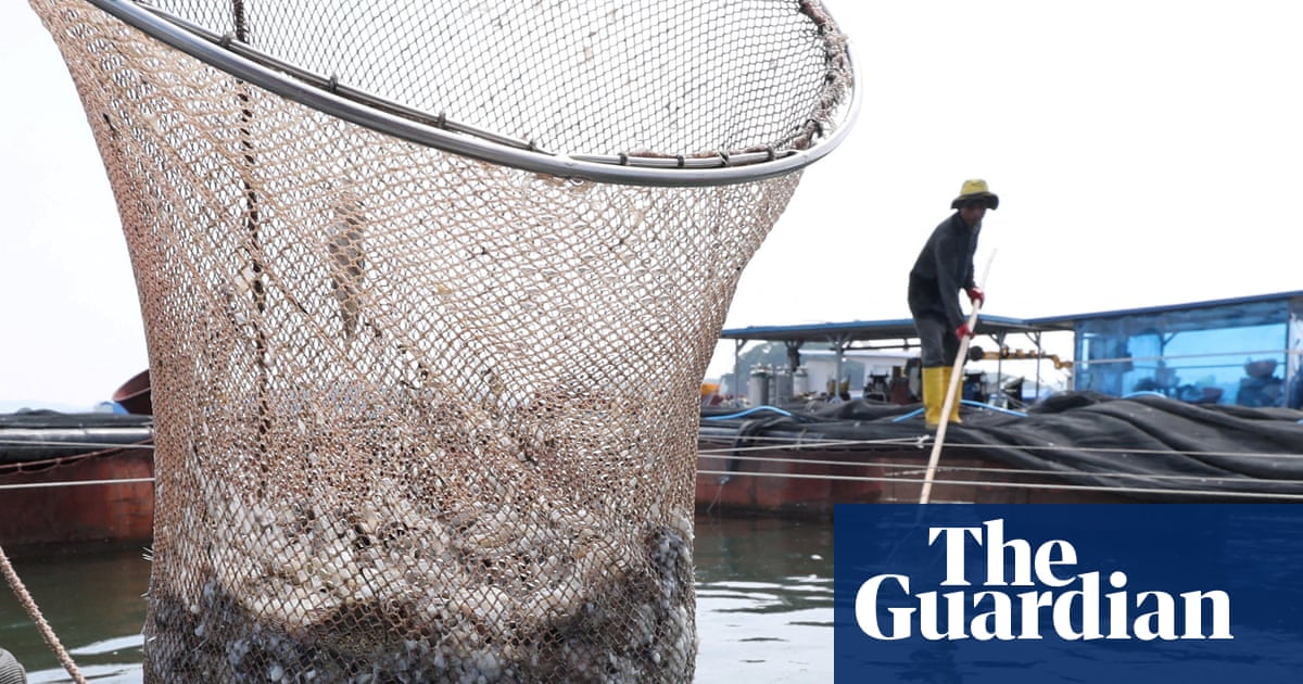 Grinding up fish to feed to fish is ‘absurd’: fears over UN aquaculture plan | Fishing