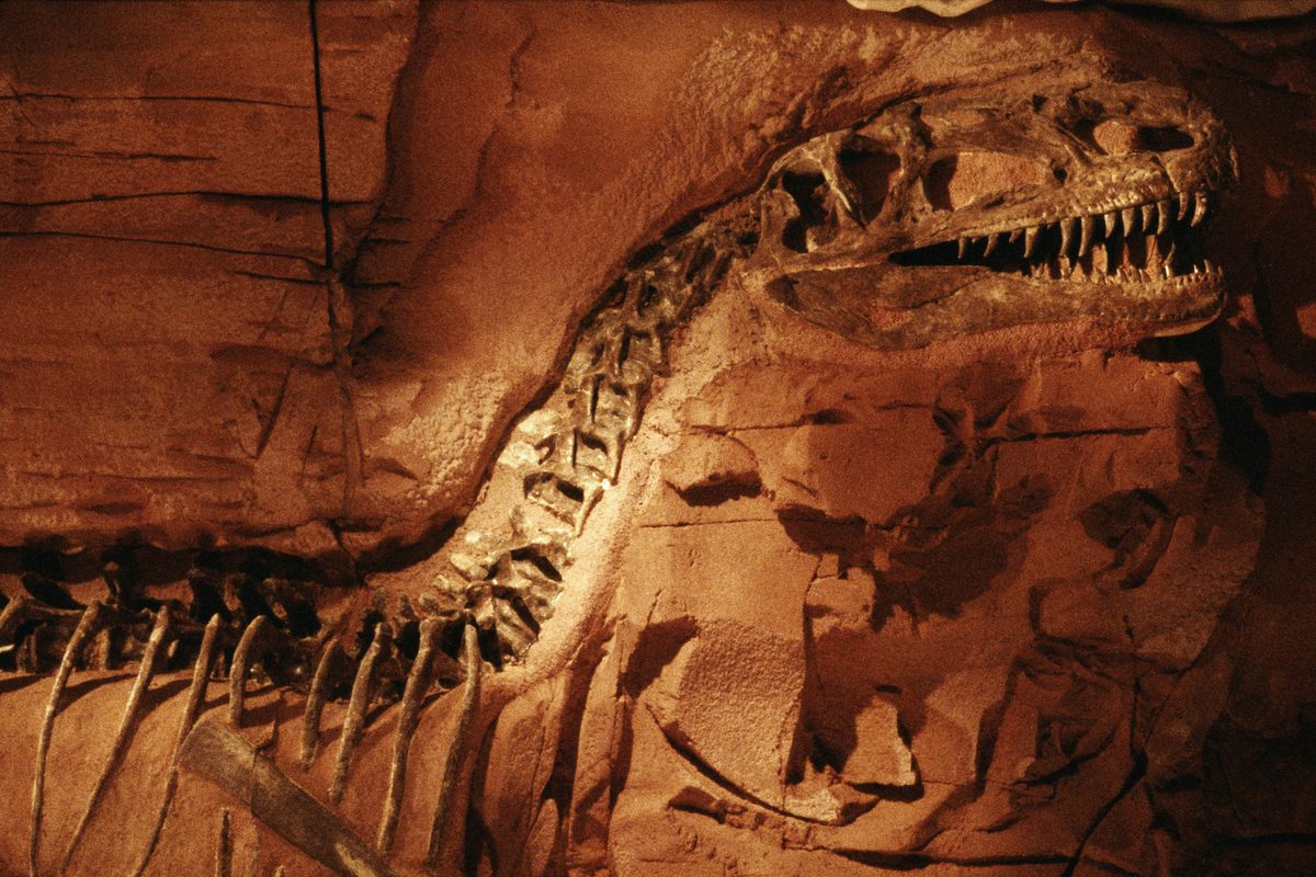 DINOSAUR EXHIBITION IN EDMONTON, CANADA