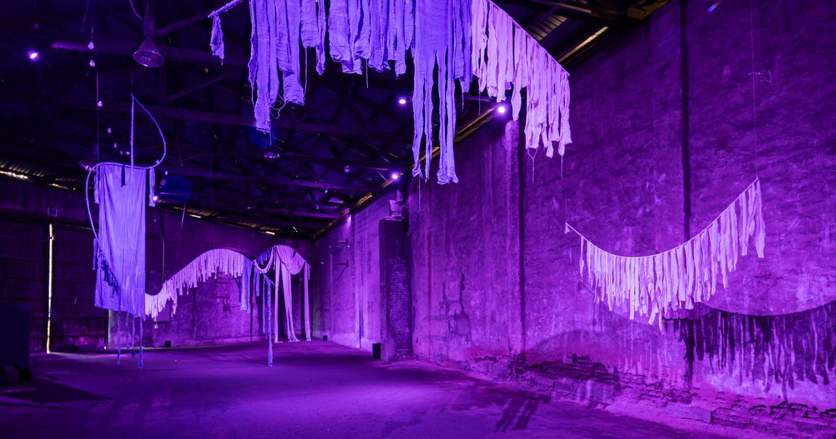 Busan Biennale 2026, “Dissident Chorus” - Criticism