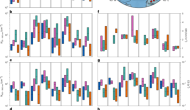 Contrasting aerosol–cloud feedbacks across a warming Arctic