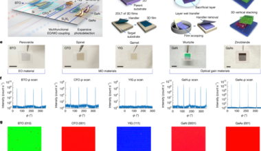Heterogeneous photonic integration of single-crystalline nanomembranes