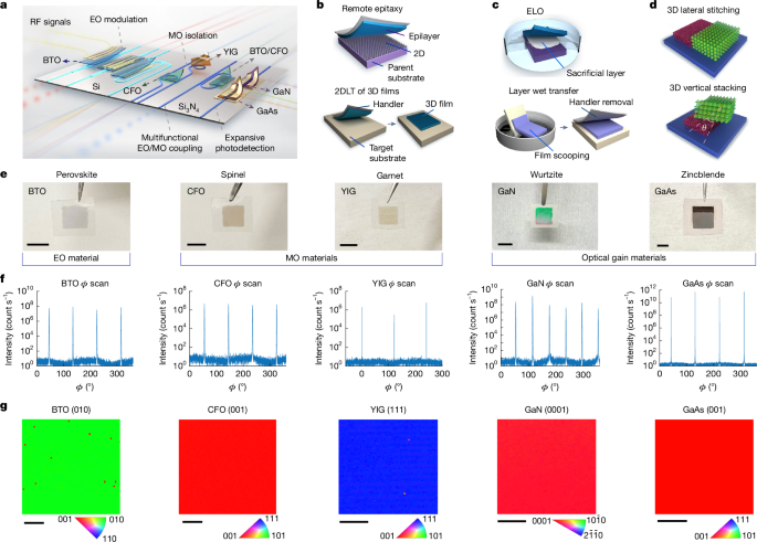 Heterogeneous photonic integration of single-crystalline nanomembranes