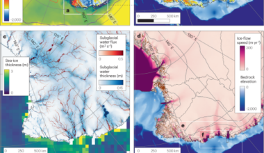 Dynamic instability of the Wilkes Subglacial Basin Ice Sheet, East Antarctica
