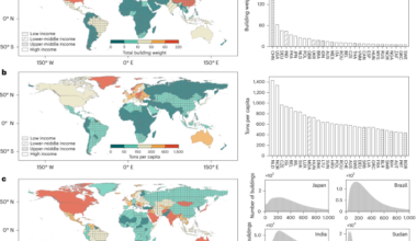 Weighing 600 million buildings reveals global urban material inequality and efficiency paths