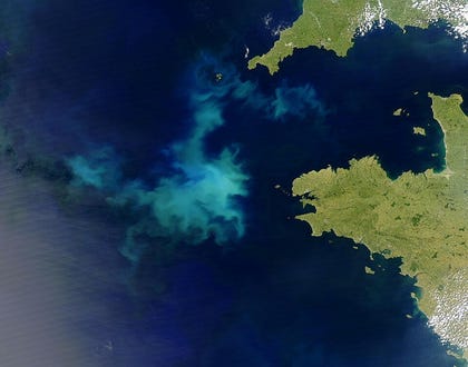 Algae blooming off the coasts of England and France. Credit: Jacques Descloitres, MODIS Rapid Response Team, NASA/GSFC Algae blooming off the coasts of England and France.