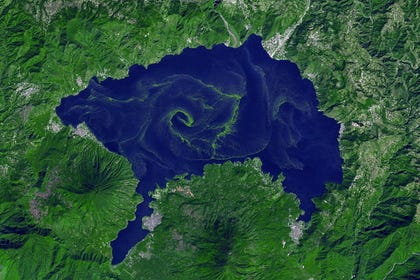 Algae at Lake Atitlán in Guatemala. Credit: NASA Earth Observatory/Jesse Allen/Wikimedia Commons Algae at Lake Atitlán in Guatemala.