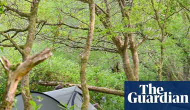 I camped in one of Britain’s last remaining rainforests | Devon holidays