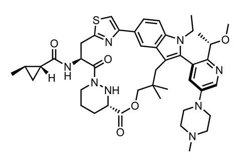 The chemical structure fo Daraxonrasib