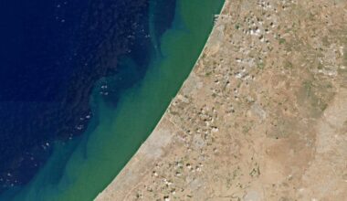 Israel's New Normal: A Coastline Wracked by an Algae Apocalypse
