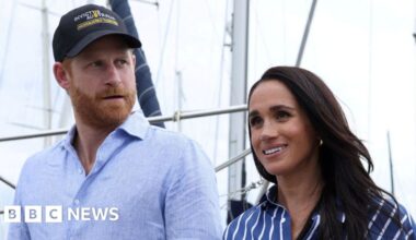 Prince Harry and Meghan not working royals, says King - bbc.com