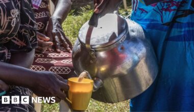 Kenya's milk shortage: Chai tea lovers unhappy as cows run dry - bbc.com