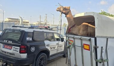 The Jerusalem Post - Israel News