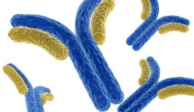 New study explains how TMEM63B protein regulates cell membranes