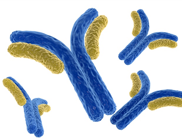 New study explains how TMEM63B protein regulates cell membranes