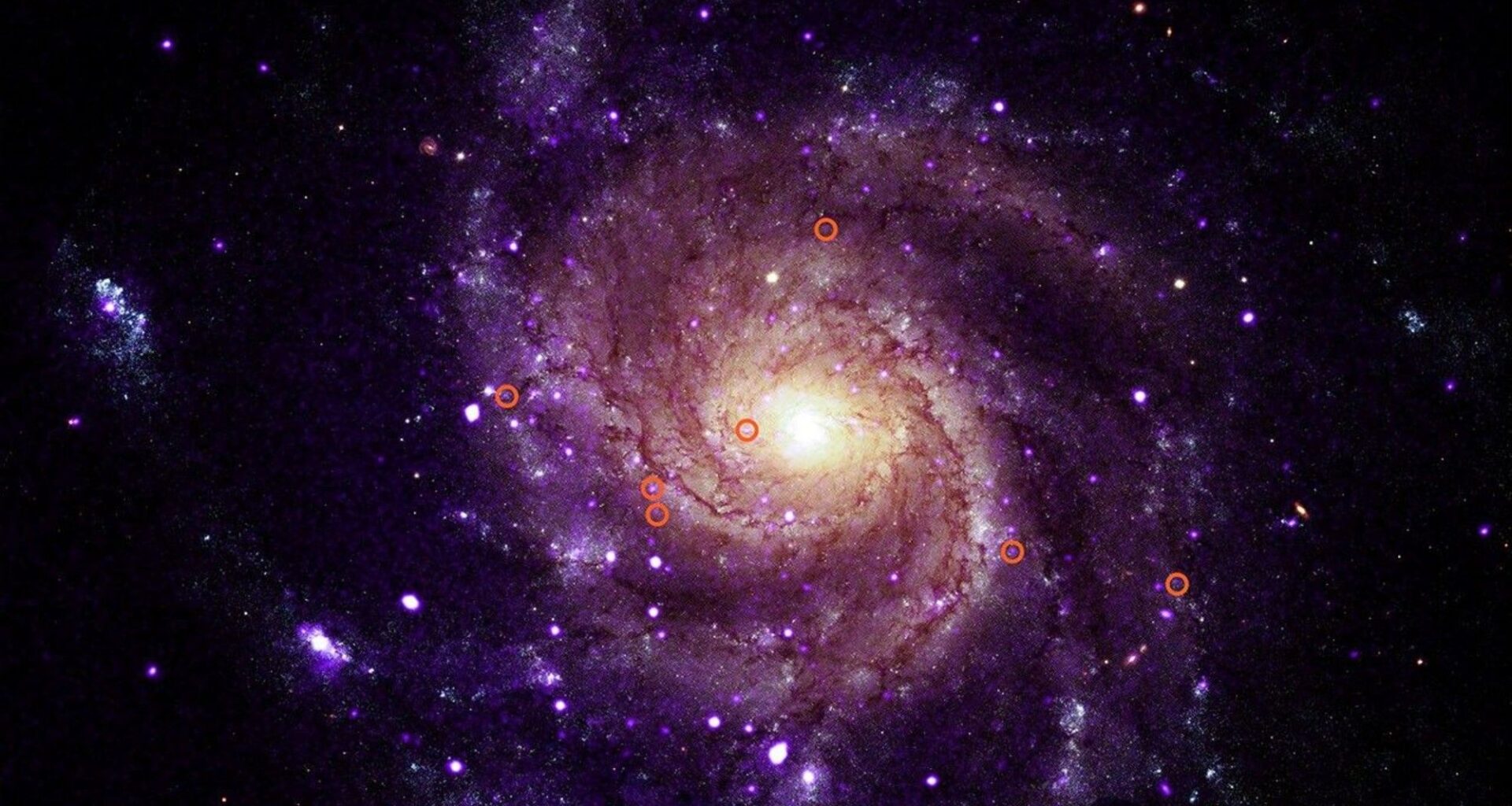 Scientists discover mysterious new X-ray objects 'unlike any they have seen before'