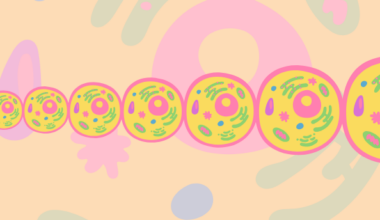 700 Million Years Of Cell Evolution
