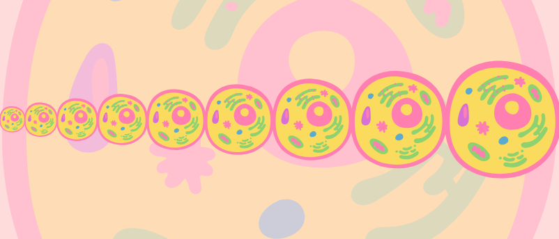 700 Million Years Of Cell Evolution