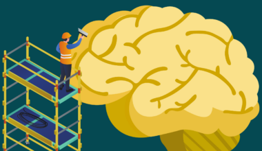Using An Injectable Biomaterial to Repair Tissue After Stroke
