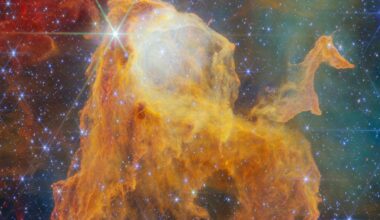 James Webb telescope finds one of our galaxy's rarest stars inside the 'Treasure Chest' globule — Space photo of the week