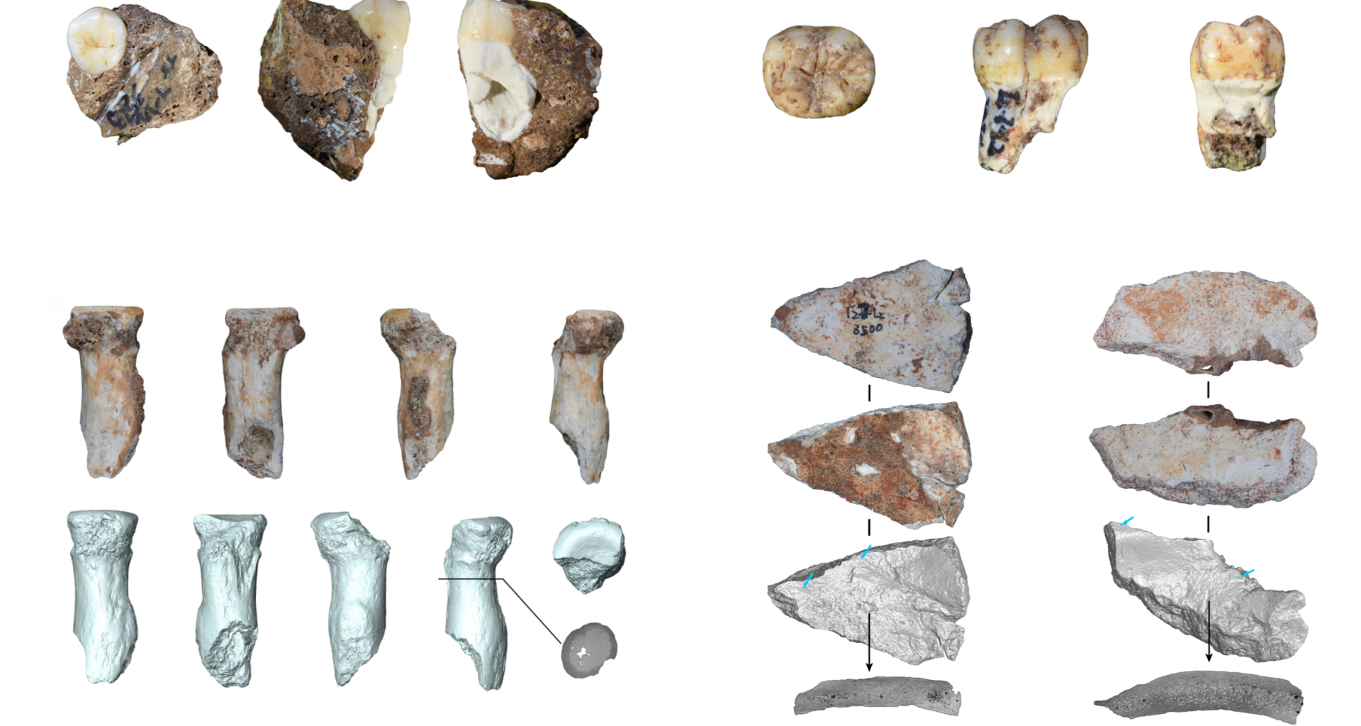 Enigmatic Denisovans lived by cave in what is now China for 100,000 years, rare fossils and handcrafted tools reveal