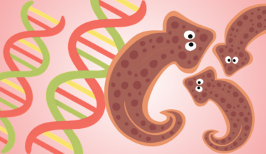 The Genes That Help Planarians Regenerate Their Brains