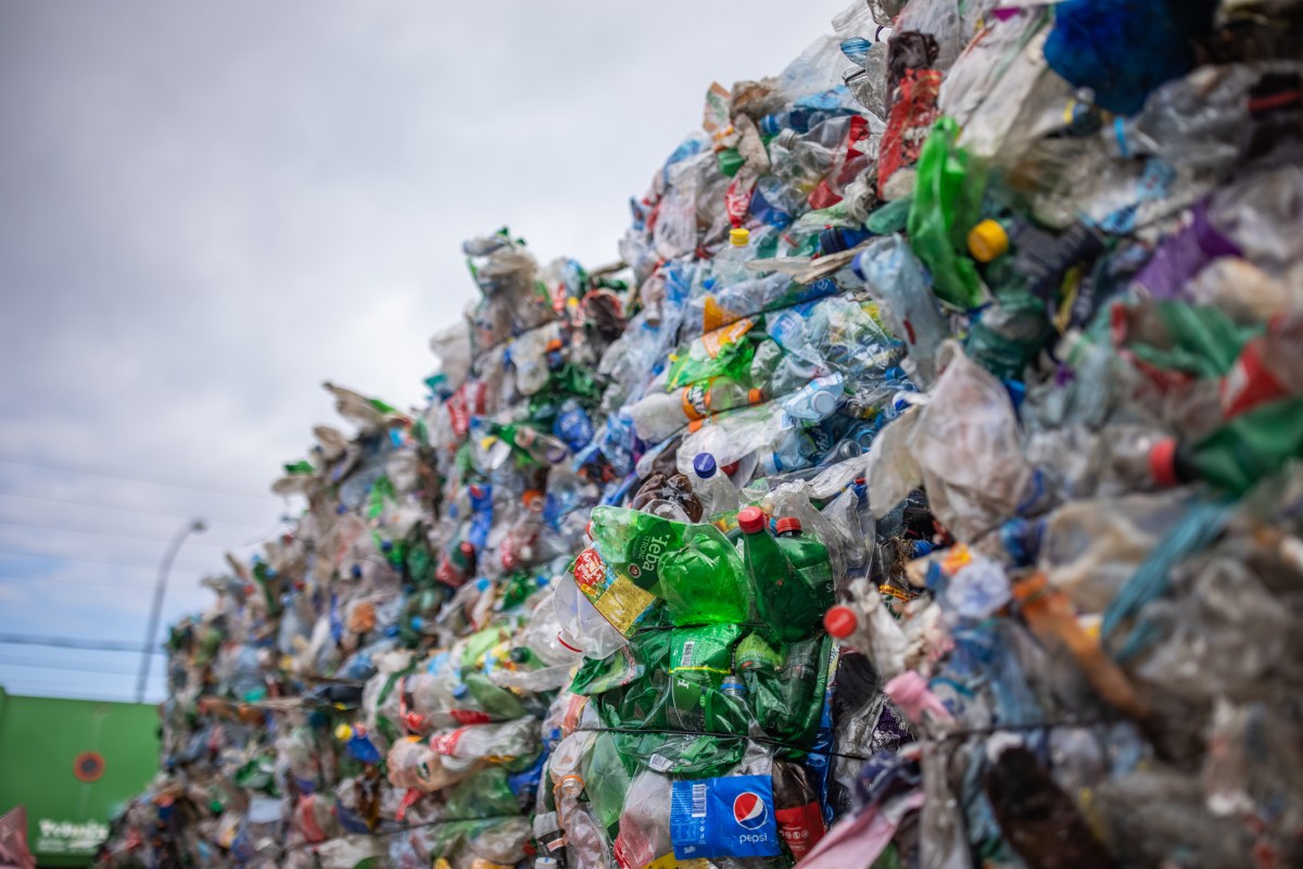 Plastic bottles are collected and packed in bales for recycling