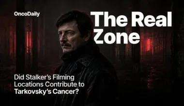 The Real Zone: Did Stalker’s Filming Locations Contribute to Tarkovsky’s  Cancer?